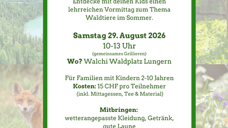 Sommer im Wald | © Franziska Mantwillat
