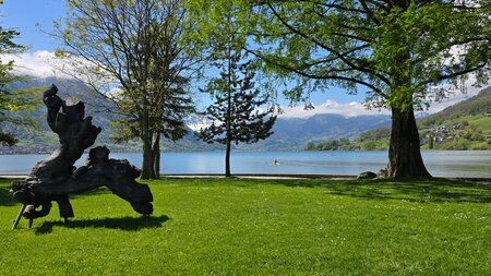 Offenes Qi Gong am See über die Sommerferien | © susi cardoso