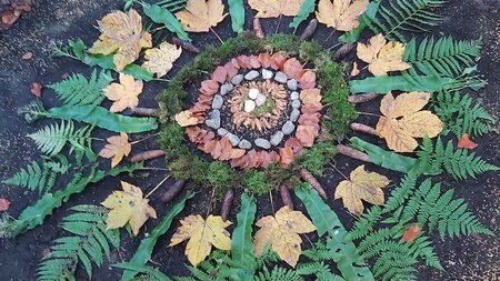 Spiel und Spass im Herbstwald | © natur & umwelt ob- und nidwalden / naturiamo