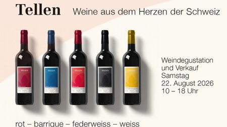 Weindegustation und Verkauf | © Weingut Tellen