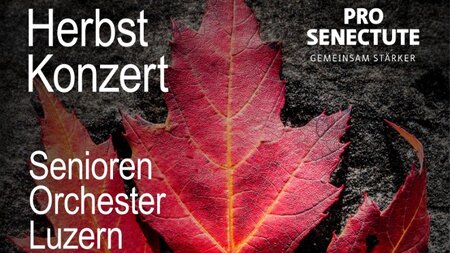 Herbstkonzert - Senioren Orchester Luzern | © Pro Senectute Obwalden