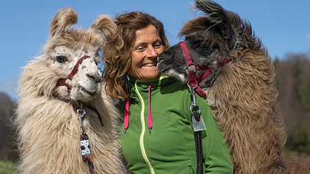 Lamas und Alpakas | © natur & umwelt ob- und nidwalden / naturiamo