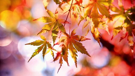 Einladung zum Herbst-Apéro | © Jeanine Krebs