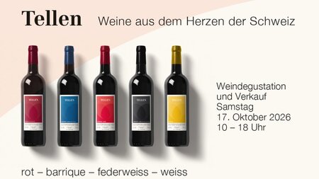 Weindegustation und Verkauf | © Weingut Tellen