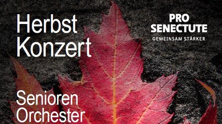 Herbstonzert - Senioren Orchester Luzern | © Pro Senectute Obwalden